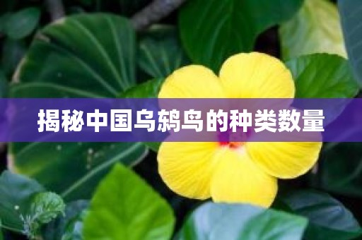 揭秘中国乌鸫鸟的种类数量