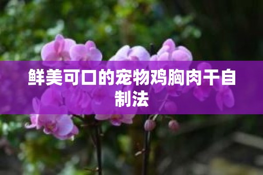 鲜美可口的宠物鸡胸肉干自制法