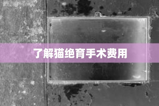 了解猫绝育手术费用