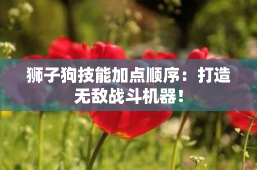 狮子狗技能加点顺序：打造无敌战斗机器！