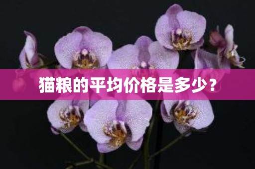 猫粮的平均价格是多少？