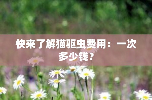 快来了解猫驱虫费用：一次多少钱？