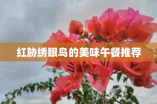 红胁绣眼鸟的美味午餐推荐