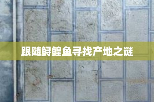 跟随鲟鳇鱼寻找产地之谜