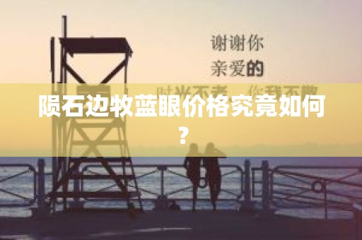 陨石边牧蓝眼价格究竟如何？