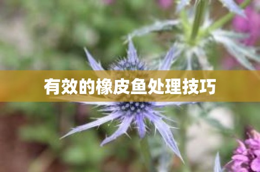 有效的橡皮鱼处理技巧