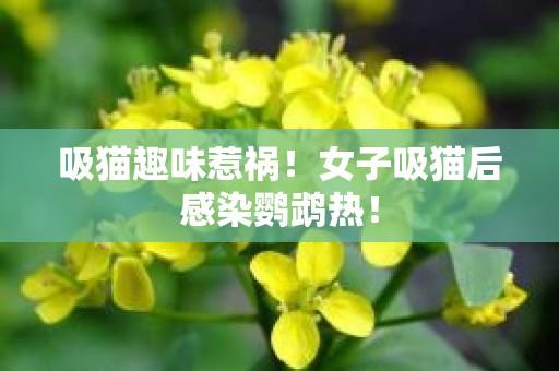 吸猫趣味惹祸！女子吸猫后感染鹦鹉热！