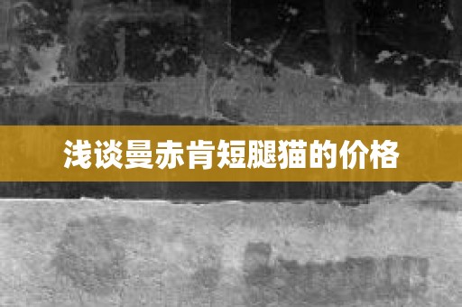 浅谈曼赤肯短腿猫的价格