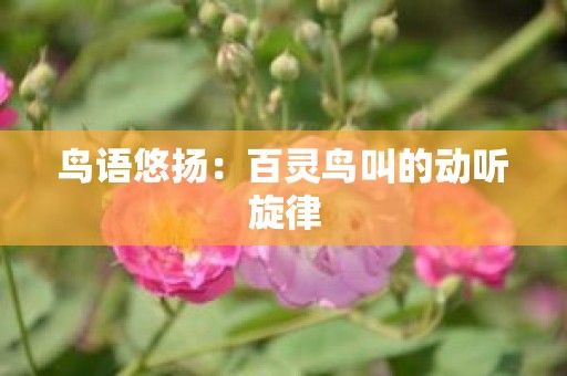 鸟语悠扬：百灵鸟叫的动听旋律
