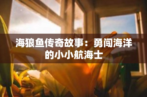 海狼鱼传奇故事：勇闯海洋的小小航海士