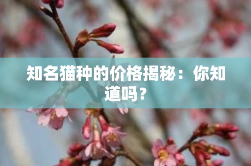 知名猫种的价格揭秘：你知道吗？