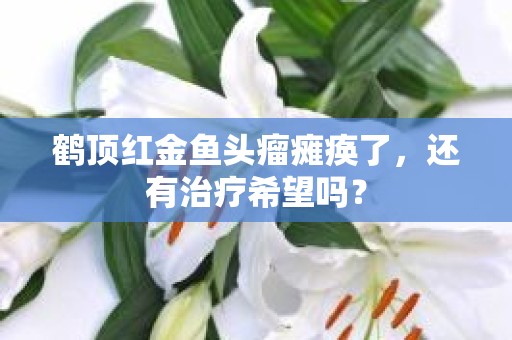 鹤顶红金鱼头瘤瘫痪了，还有治疗希望吗？