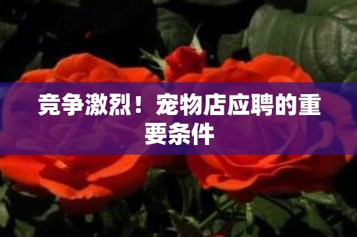 竞争激烈！宠物店应聘的重要条件