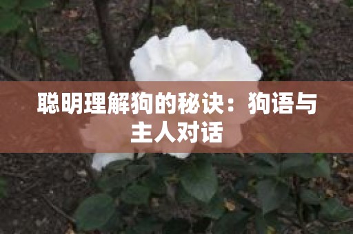 聪明理解狗的秘诀：狗语与主人对话