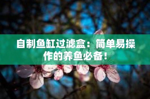 自制鱼缸过滤盒：简单易操作的养鱼必备！