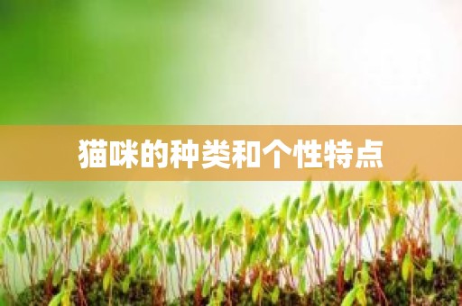 猫咪的种类和个性特点