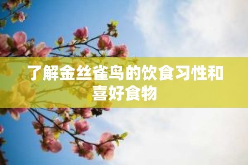 了解金丝雀鸟的饮食习性和喜好食物