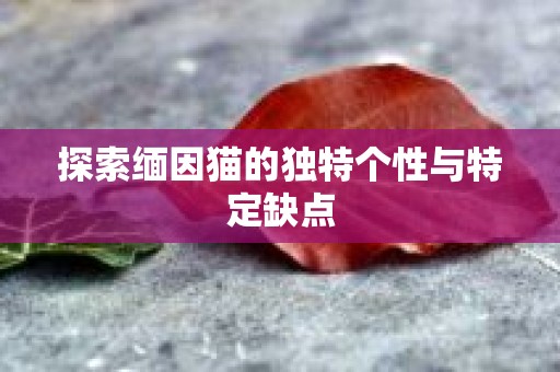 探索缅因猫的独特个性与特定缺点