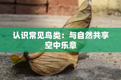 认识常见鸟类：与自然共享空中乐章