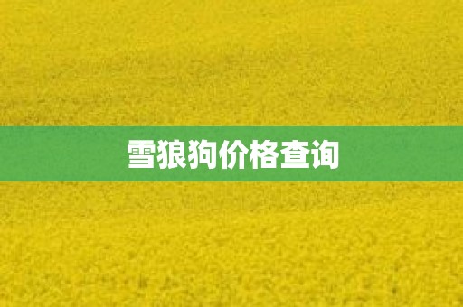 雪狼狗价格查询