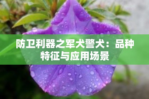 防卫利器之军犬警犬：品种特征与应用场景