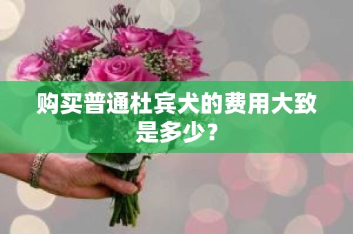 购买普通杜宾犬的费用大致是多少？