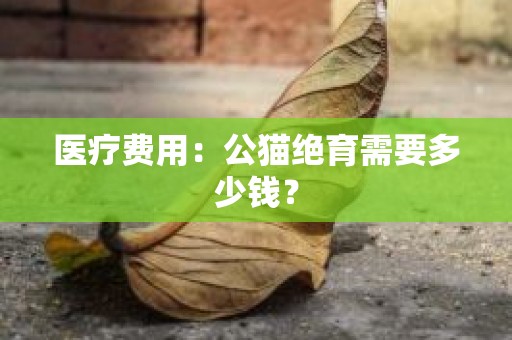 医疗费用：公猫绝育需要多少钱？