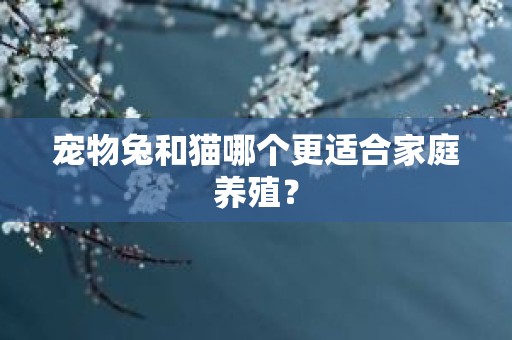 宠物兔和猫哪个更适合家庭养殖？
