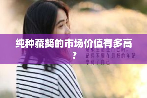 纯种藏獒的市场价值有多高？