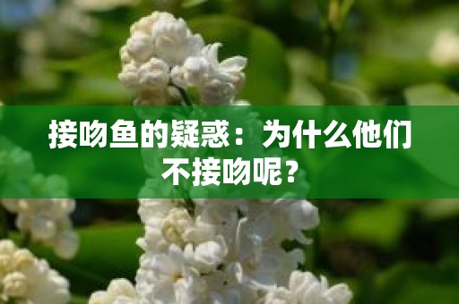 接吻鱼的疑惑：为什么他们不接吻呢？