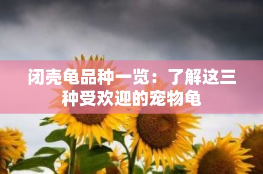 闭壳龟品种一览：了解这三种受欢迎的宠物龟