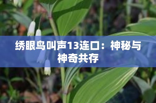 绣眼鸟叫声13连口：神秘与神奇共存