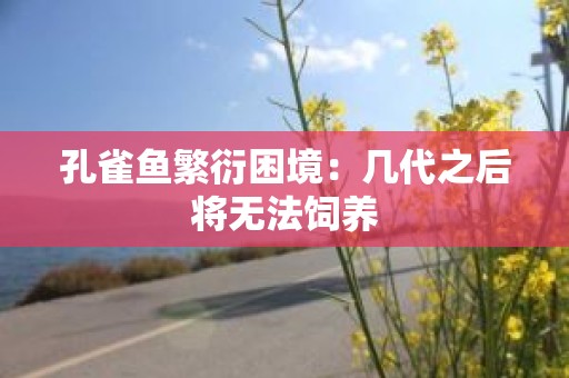 孔雀鱼繁衍困境：几代之后将无法饲养