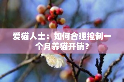 爱猫人士：如何合理控制一个月养猫开销？