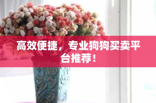高效便捷，专业狗狗买卖平台推荐！