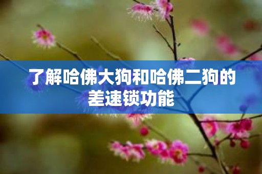 了解哈佛大狗和哈佛二狗的差速锁功能