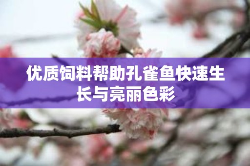 优质饲料帮助孔雀鱼快速生长与亮丽色彩
