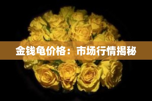 金钱龟价格：市场行情揭秘