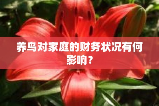 养鸟对家庭的财务状况有何影响？