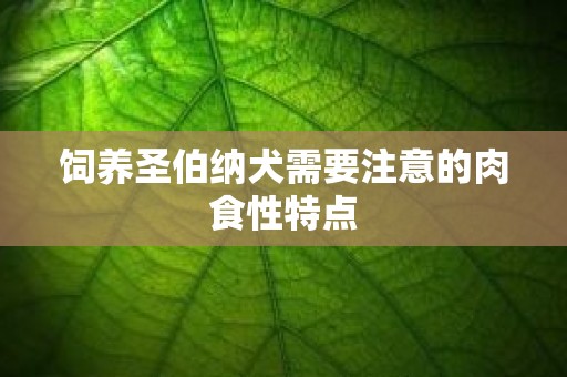 饲养圣伯纳犬需要注意的肉食性特点