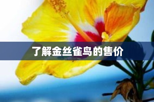 了解金丝雀鸟的售价