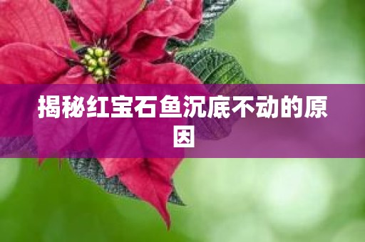揭秘红宝石鱼沉底不动的原因