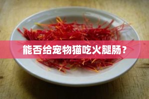 能否给宠物猫吃火腿肠？