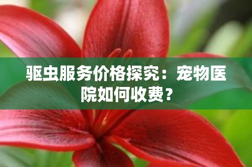 驱虫服务价格探究：宠物医院如何收费？