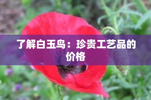 了解白玉鸟：珍贵工艺品的价格