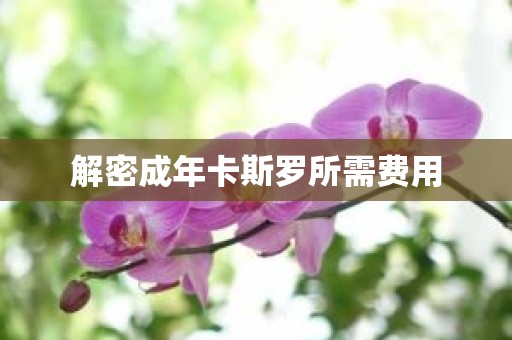 解密成年卡斯罗所需费用