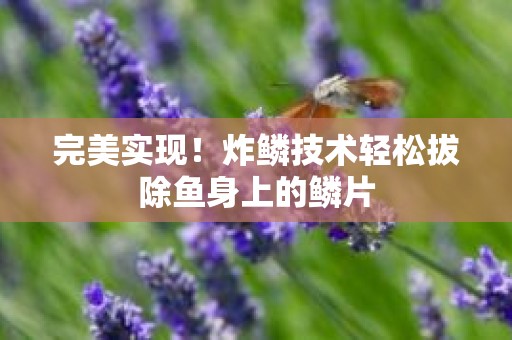 完美实现！炸鳞技术轻松拔除鱼身上的鳞片