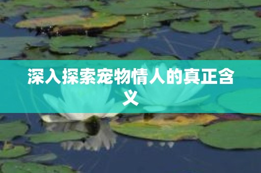 深入探索宠物情人的真正含义