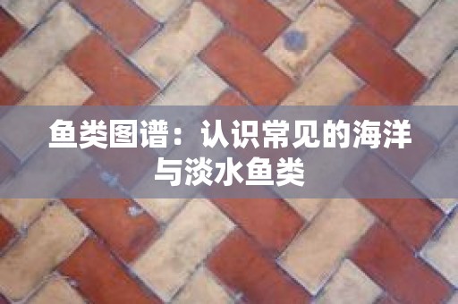 鱼类图谱：认识常见的海洋与淡水鱼类