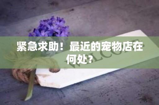紧急求助！最近的宠物店在何处？